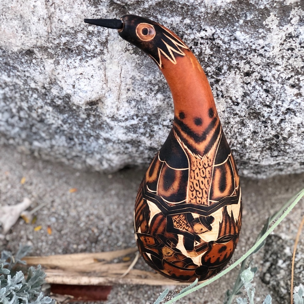 Shamans medicine gourd rattle Brazil